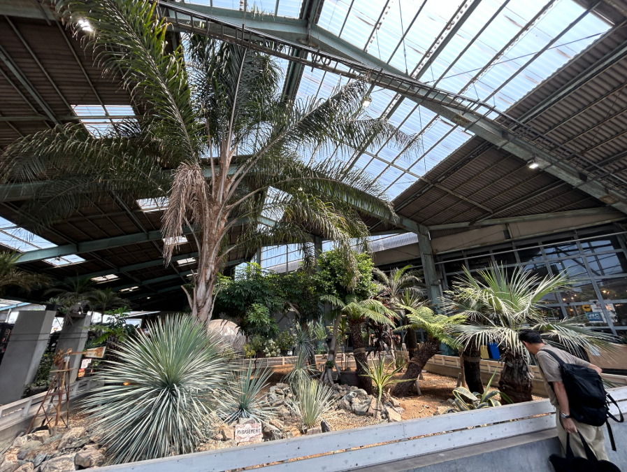 スクリーンショット 2025-08-04 125414.png