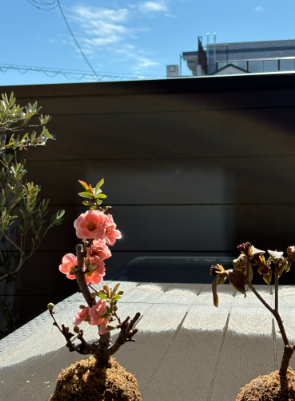 スクリーンショット 2026-03-16 173211.png