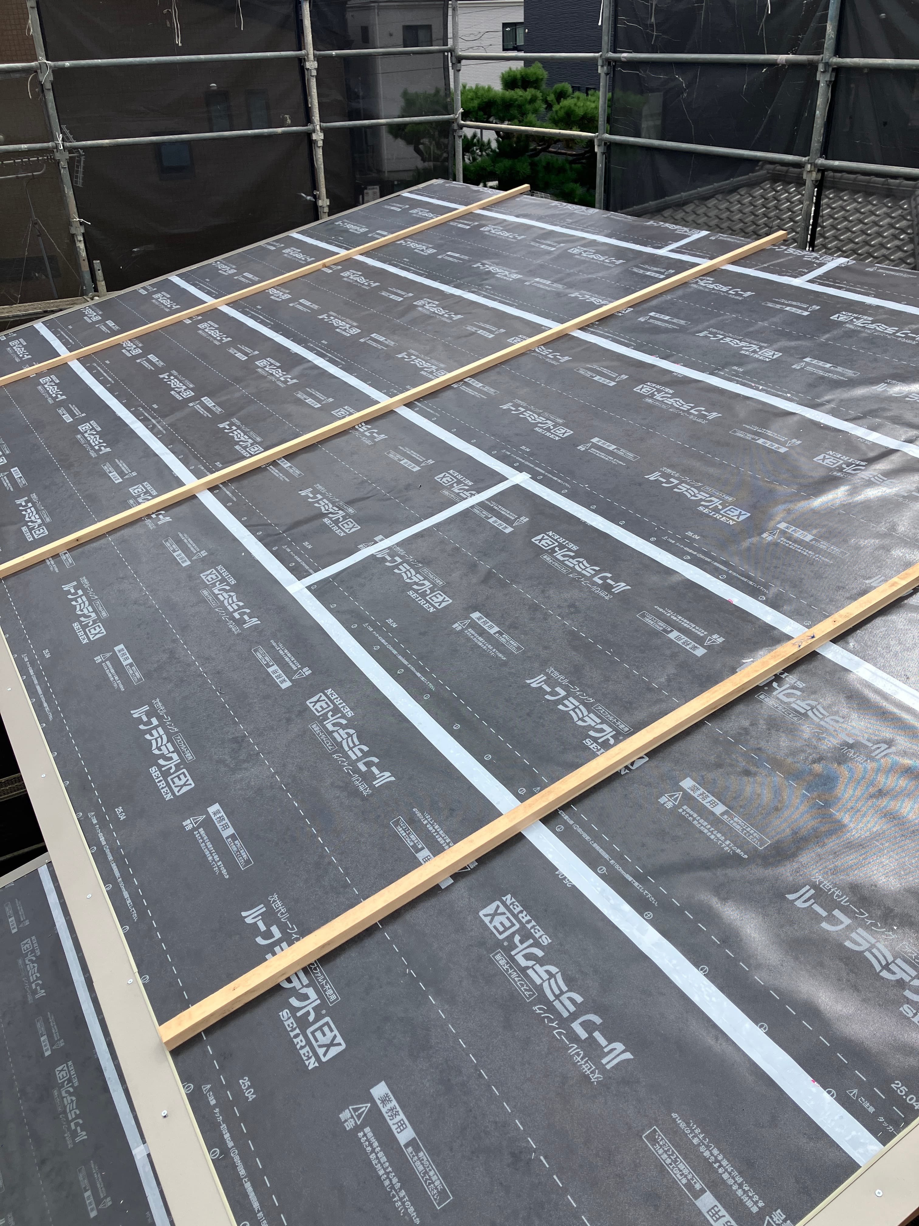 hasiyada_blog2 (9).JPG